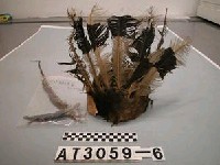 藏品(羽飾獸皮籐帽)的圖片
